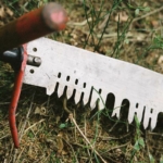 hand saw used in a Forest Games challenge