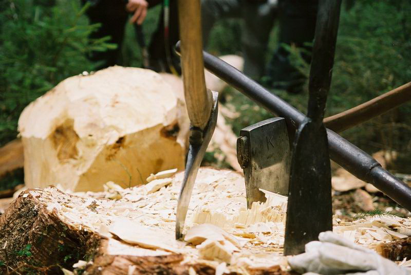 axes planted in a tree trunk for the Forest Games