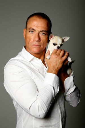 JCVD with chihuahua