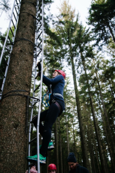 participante grimpant un arbre la récolte de cônes lors des Forest Games