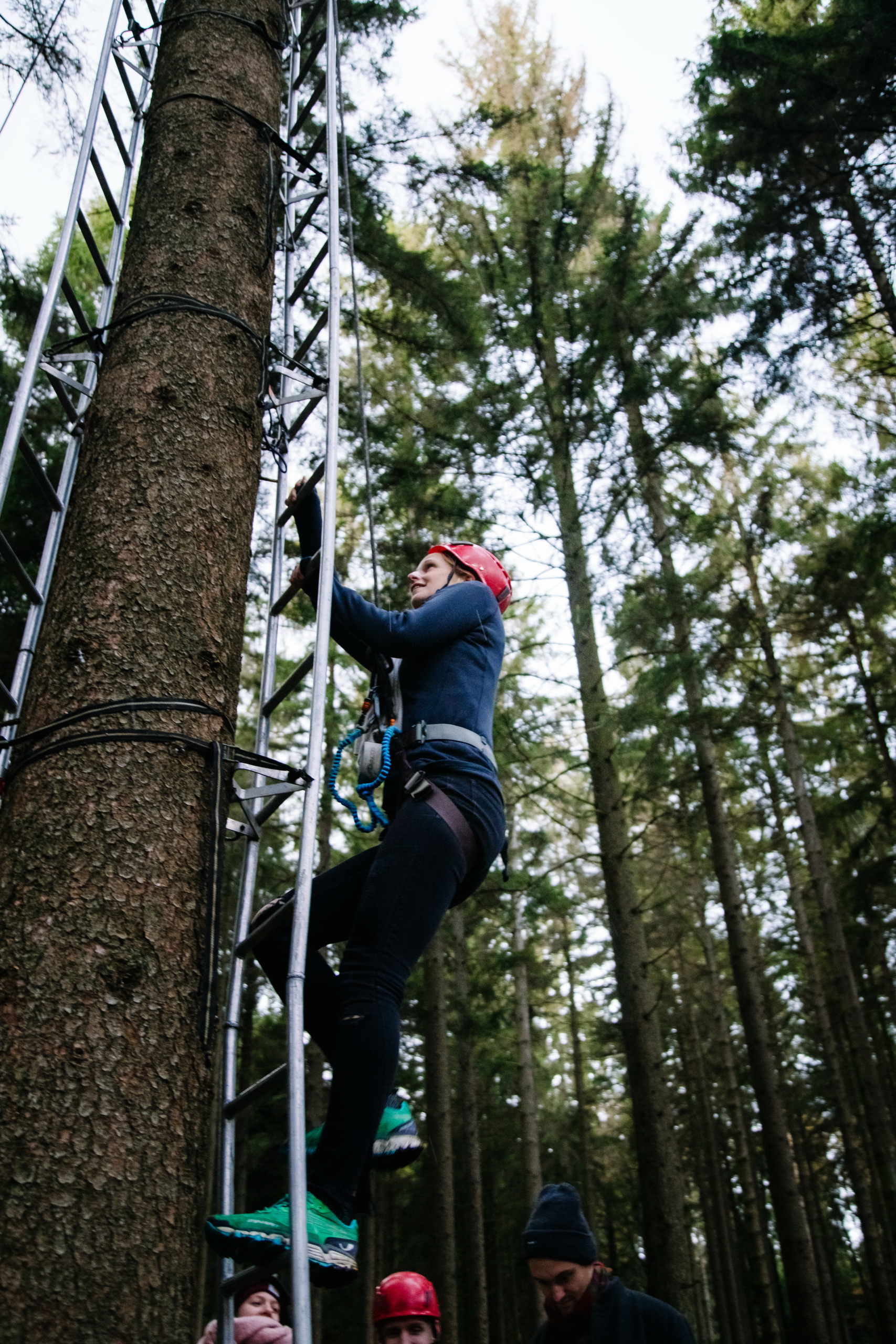Deelnemer die een boom oogst kegels beklimt tijdens de Forest Games