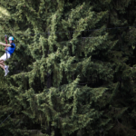 participant abseiling down a tree during an aerial course