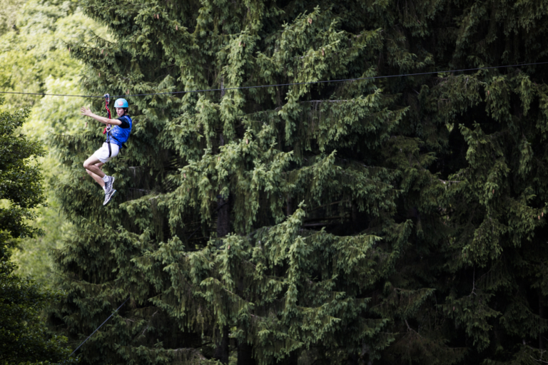 participant abseiling down a tree during an aerial course