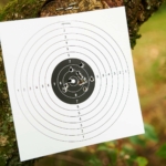 target with bullet impact