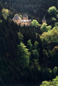 Reinhardstein castle in the middle of the trees