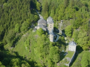 Reinhardstein castle in the middle of the trees