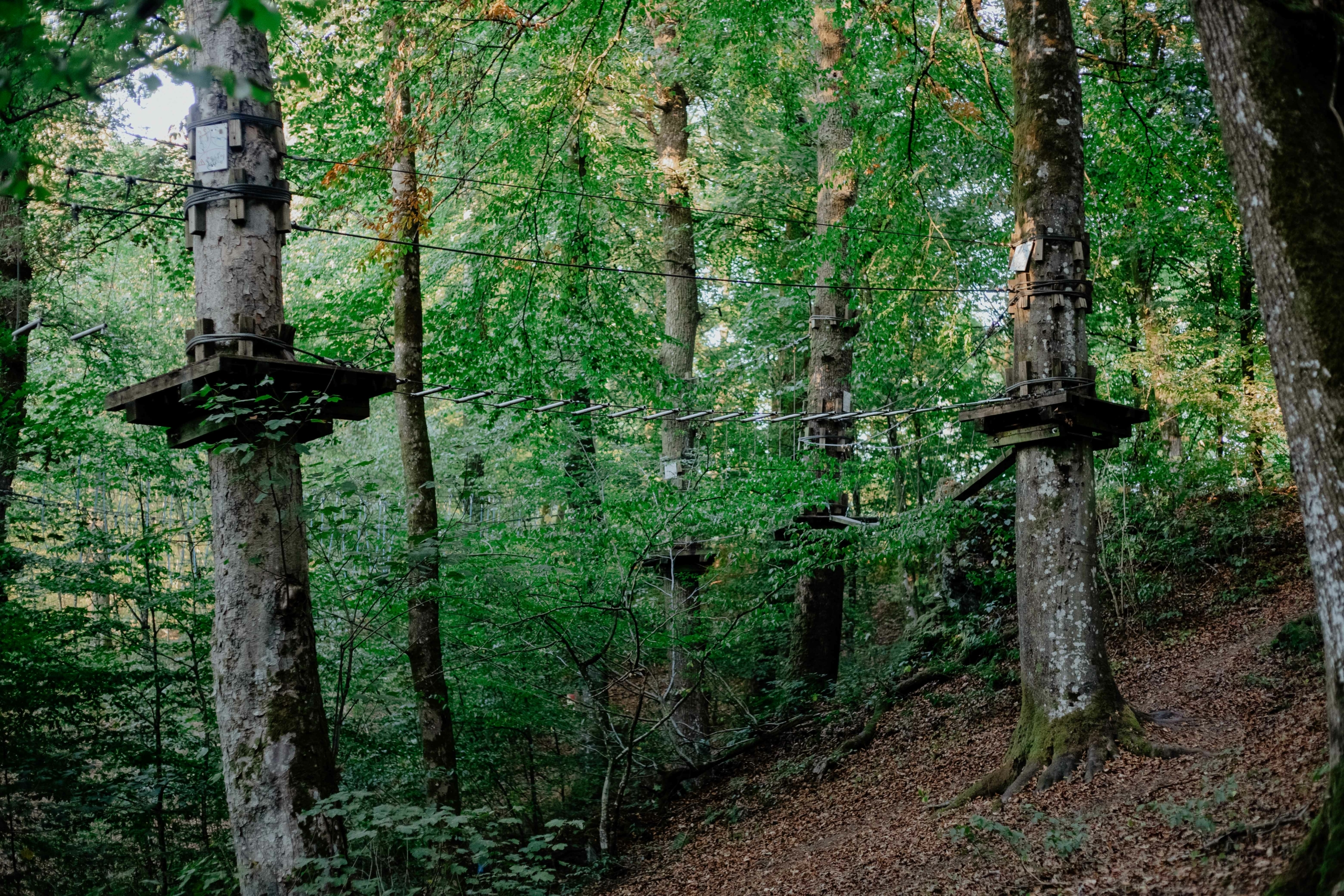 parcours accrobranche dans les arbres au Tero Forest House Martué