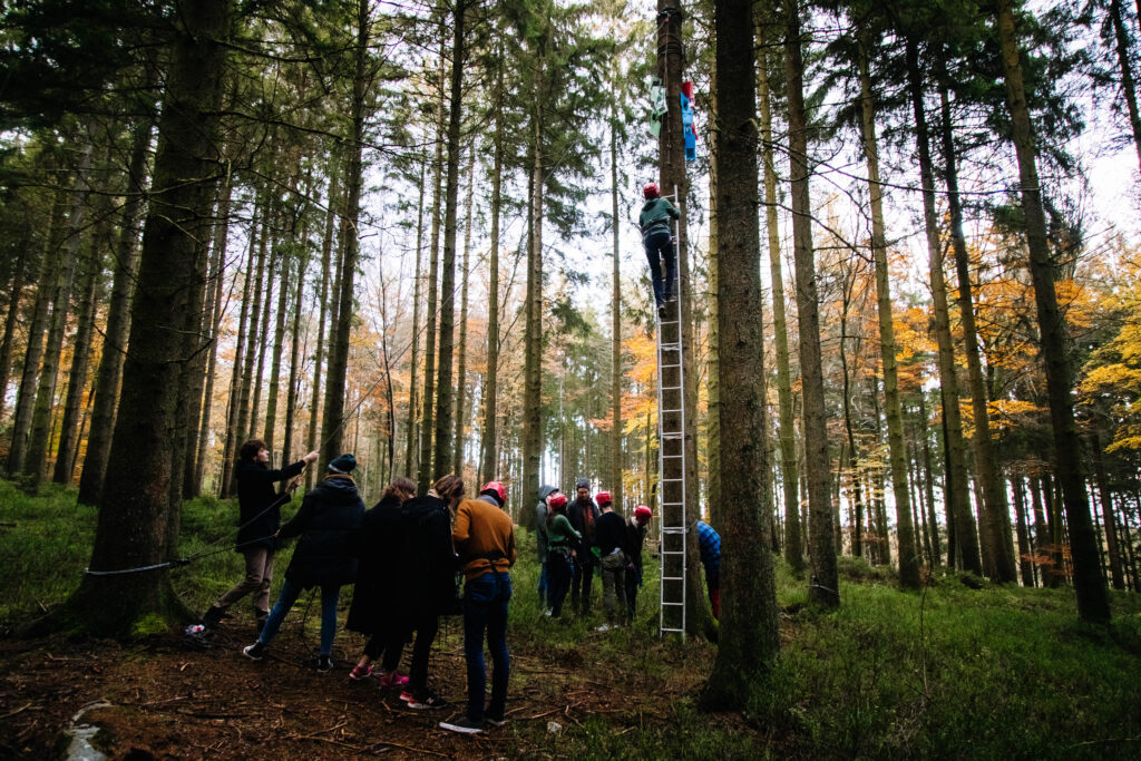 Team building nature