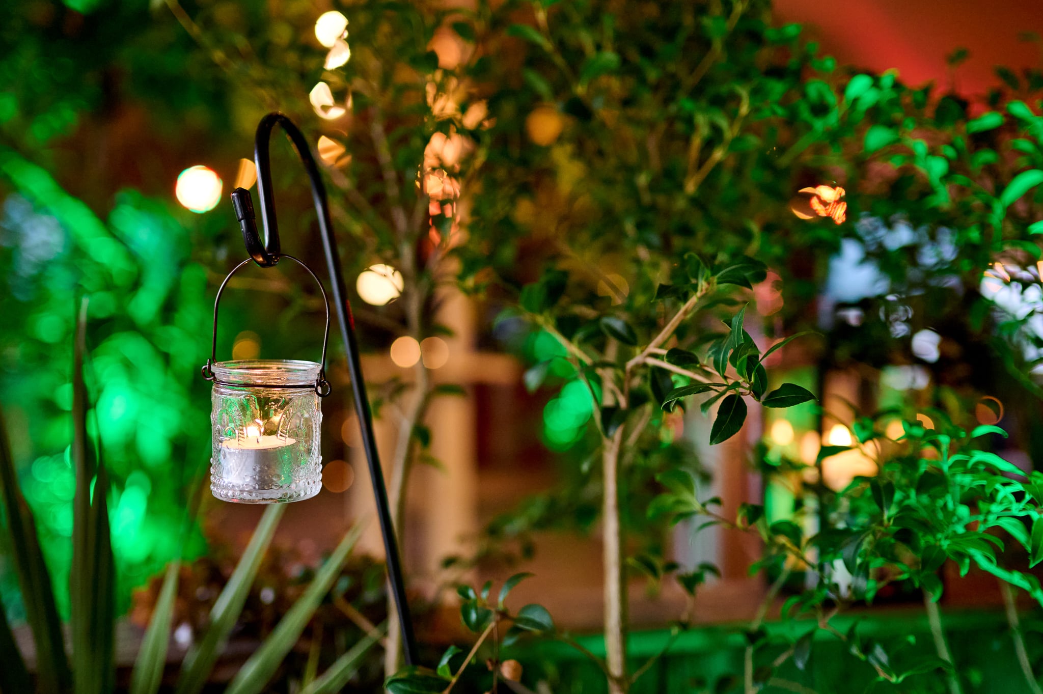 SebVandeWalle_Arval_Tero-130-sur-300.jpg