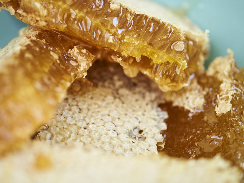 Bee Your Team