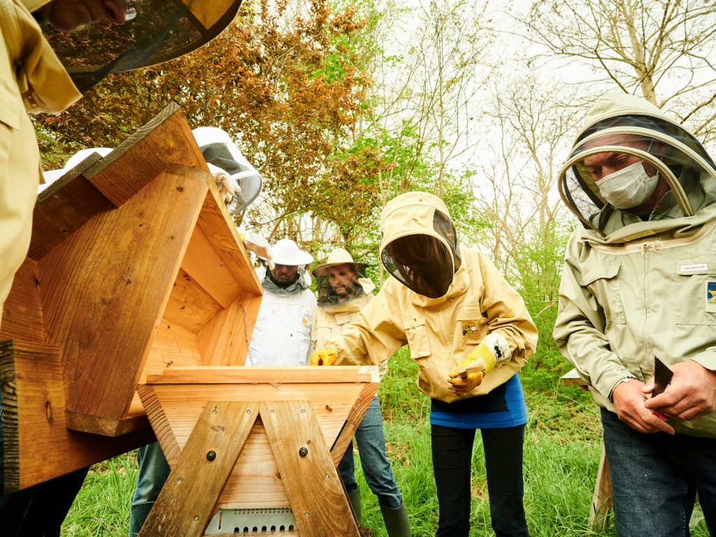 Bee Your Team