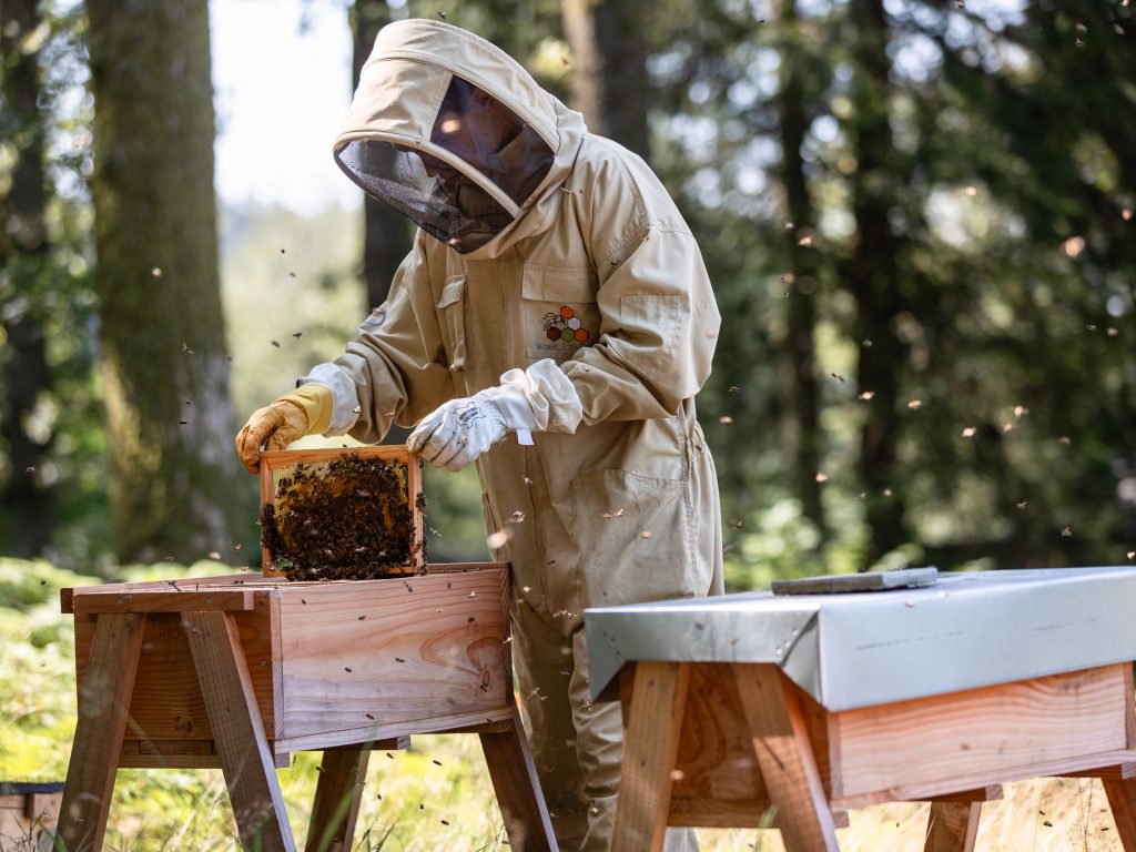 Bee Your Team