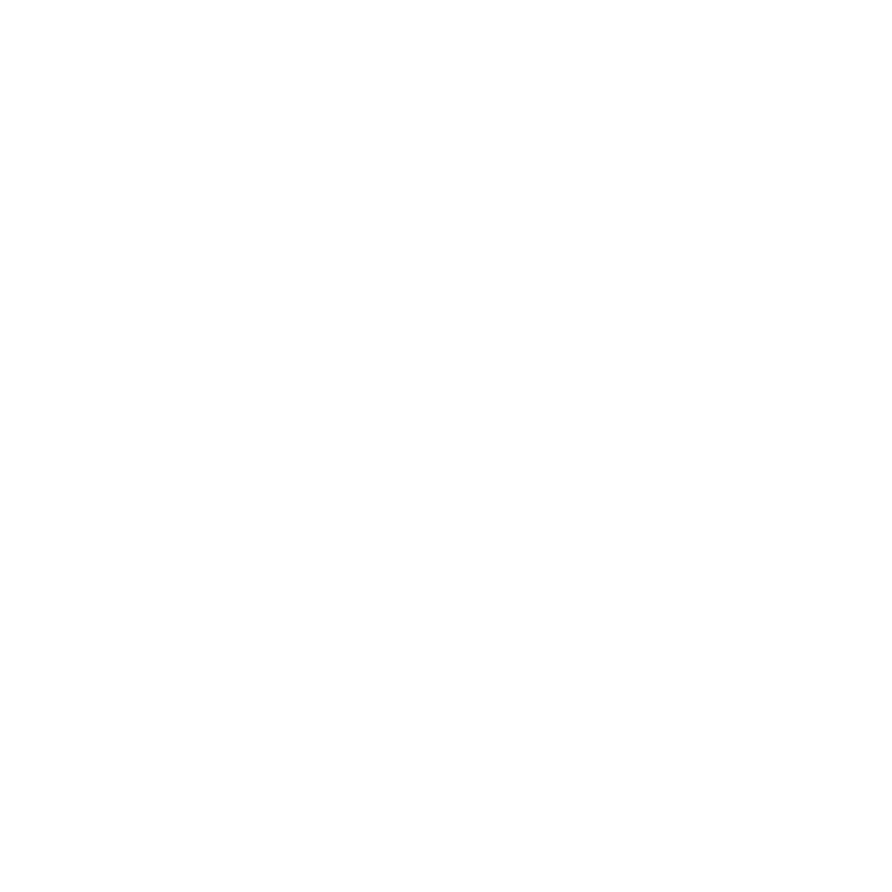 NEST ZWIN BISTRO LOGO WHITE