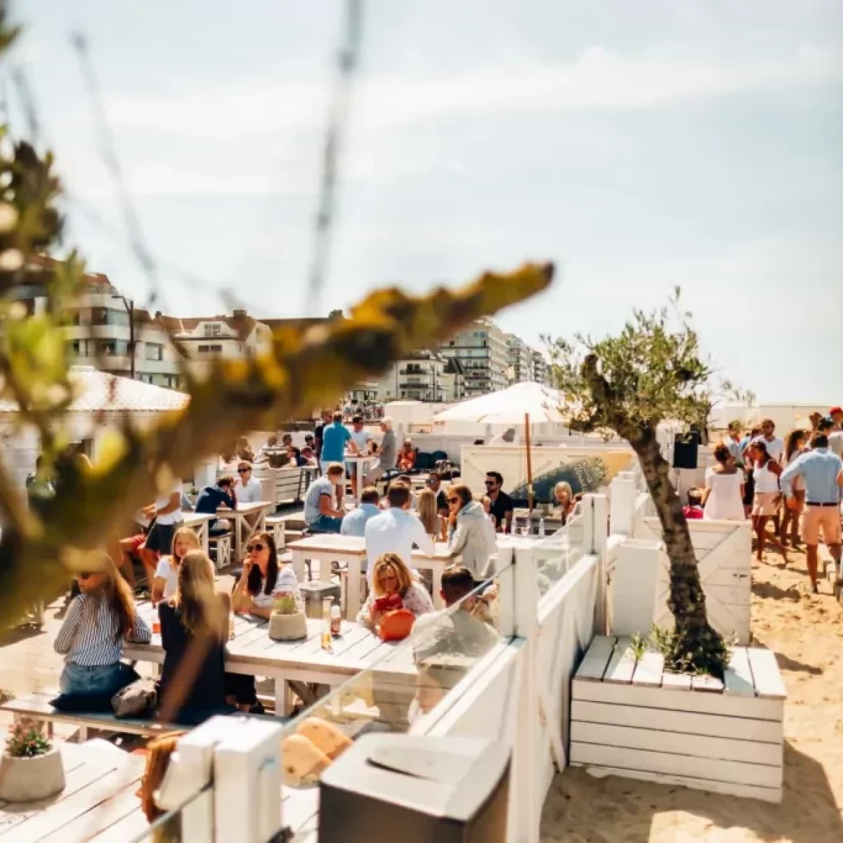 terrace-riverwoods-beachclub-knokke-1024x683